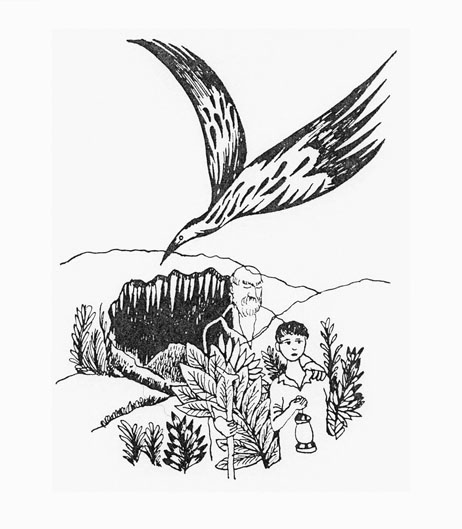 Javier Tafur González